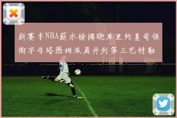 新赛季NBA薪水榜揭晓库里约基奇领衔字母塔图姆浓眉并列第三巴特勒排名第十